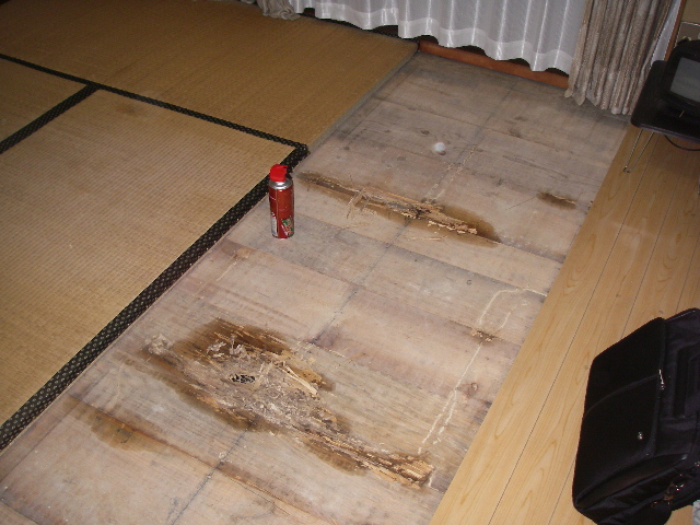 床板被害